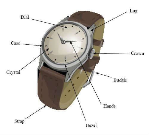 Watch fugure with elements / parts pointed out 