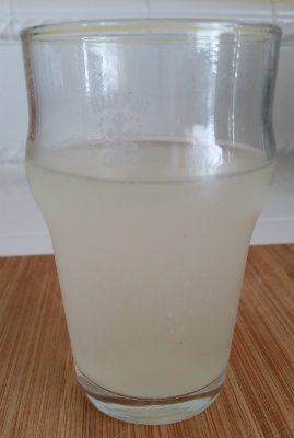 Homemade Ginger Beer