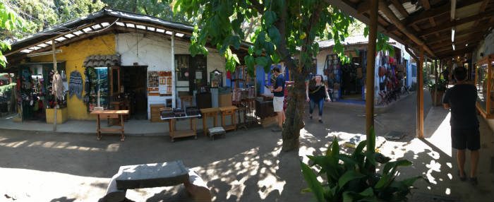 Ancient tress in Snatiago Market