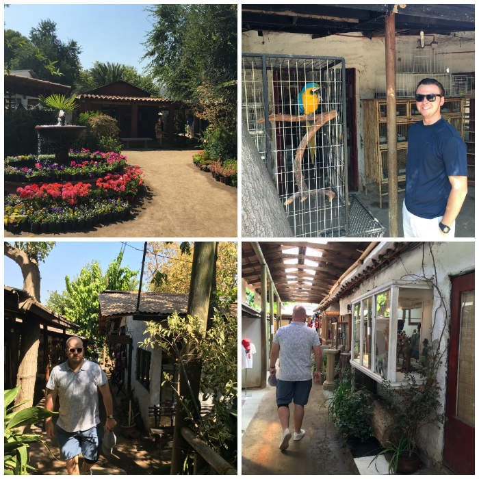 Flowers Tress and Animals of Los Dominicos