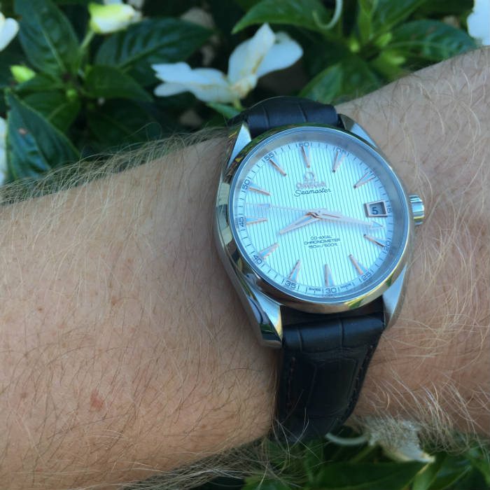 On The Wrist Omega Aqua Terra