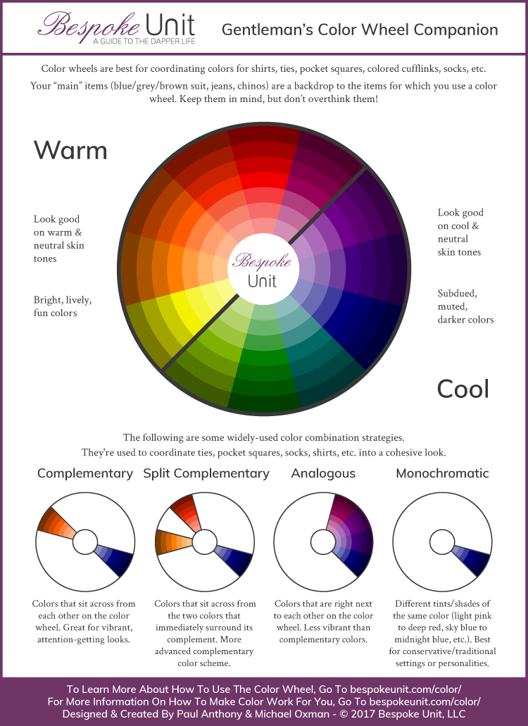 Color Wheel Infographic