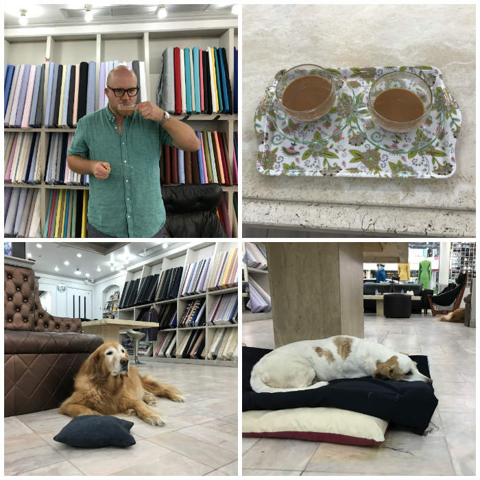 Cup of tea and shop dogs