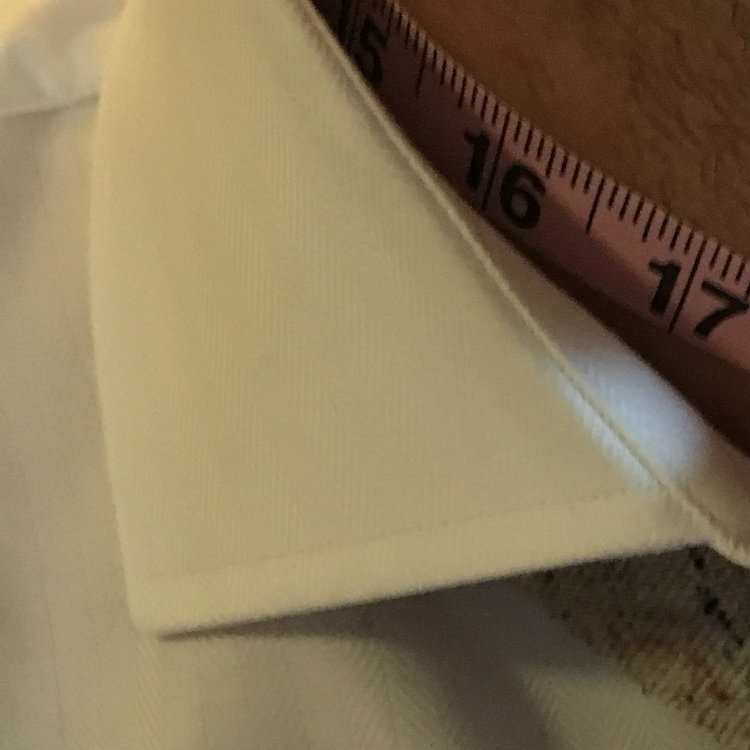 dress shirt collar point