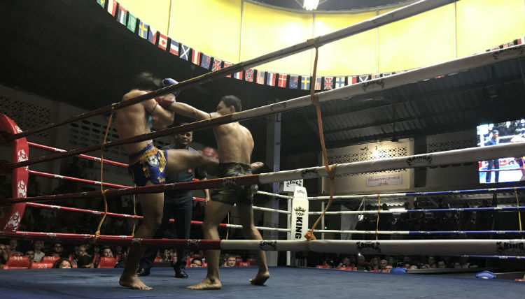 Fighters kicking and punching