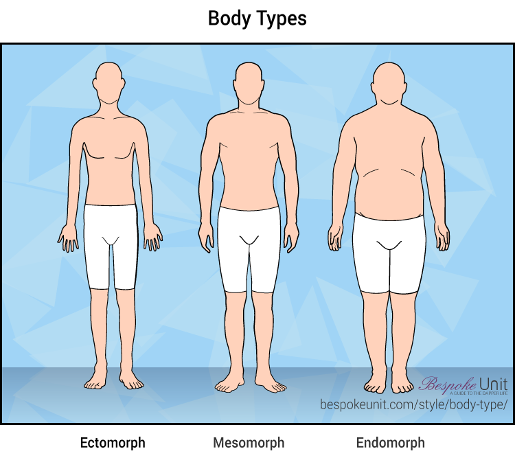 Mesomorph Endomorph And Ectomorph Males