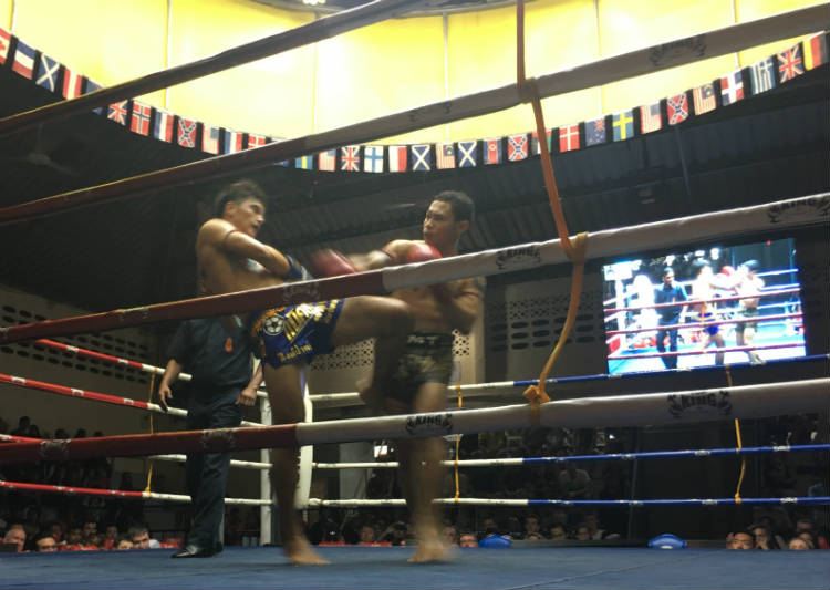 Muay Thai Fighter Kicking Opponent In Ribs