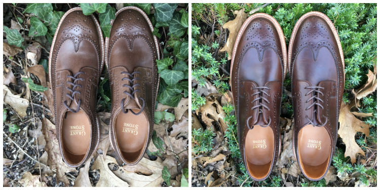 Brown And Crimson Longwings On Leaves