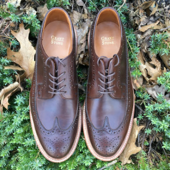 Brown Longwing Men's Shoes on leaves