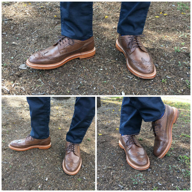 Collage Of Brown Longwings With Jeans