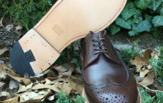 Crimson Longwings Showing Sole