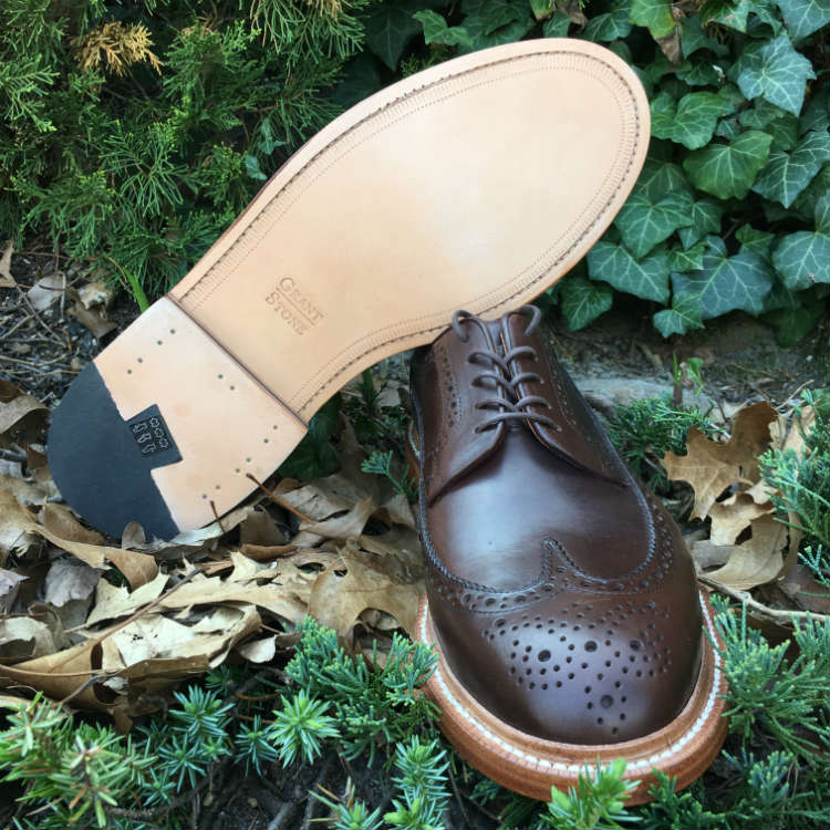 Crimson Longwings Showing Sole