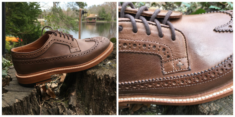 Two Side Views Of Brown Longwing