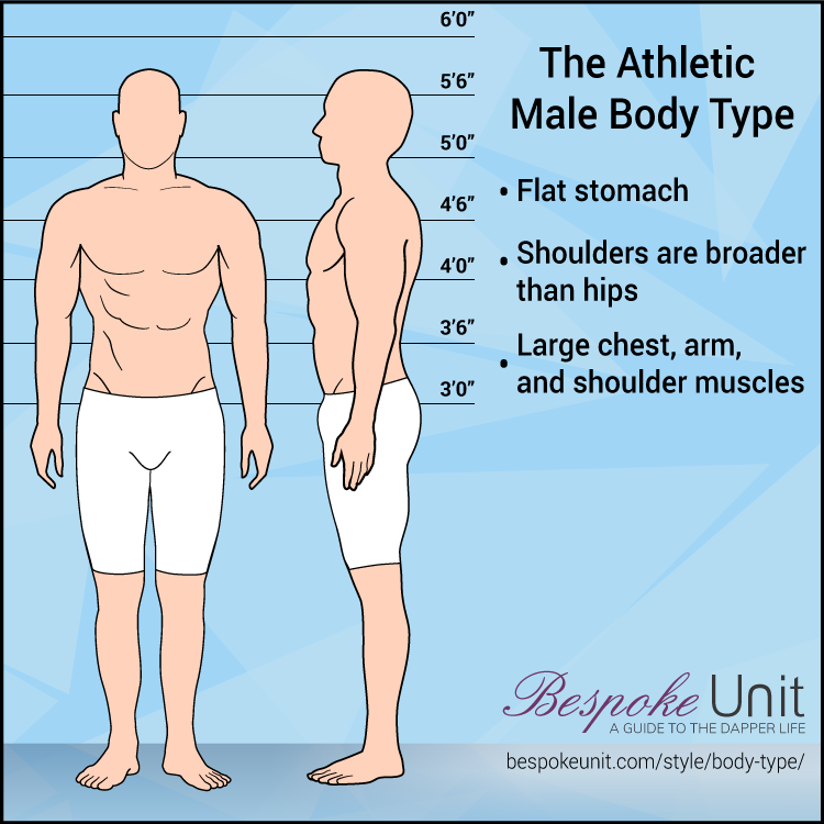 Athletic Male Body Type Graphic