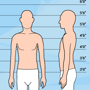 Graphic of Man Average Height And Thin