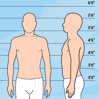 Average Height & Weight Male Body Graphic