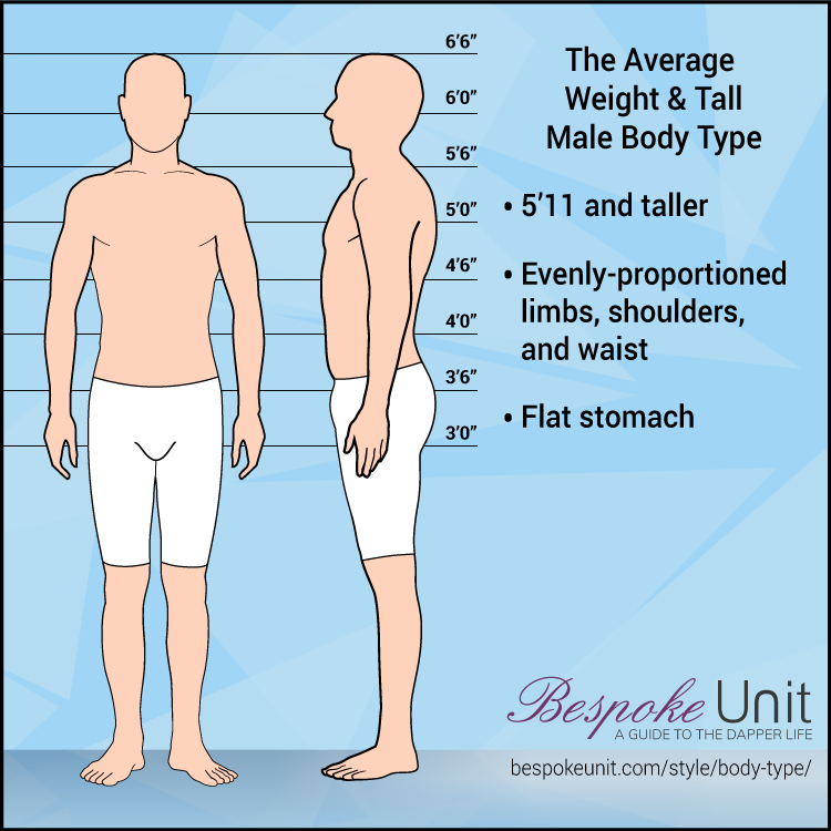 Average Weight Tall Male Body Type