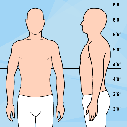 Graphic Of Average Weight & Tall Man