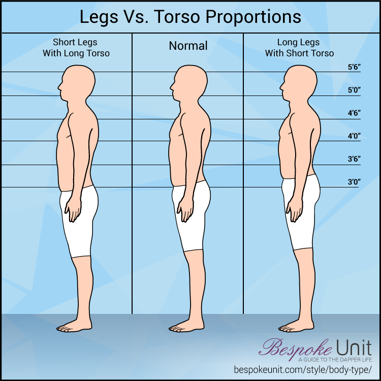 Legs Versus Torso Proportions