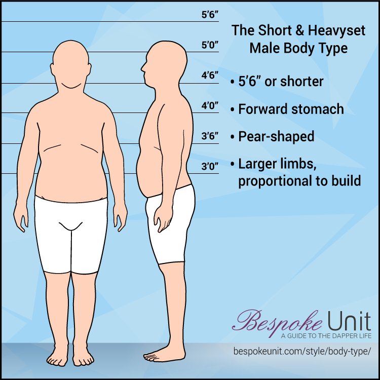 Portly Male Body Type