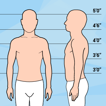 Graphic Of Short & Average Weight Man