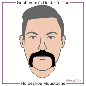 What Is a Horseshoe Moustache Family