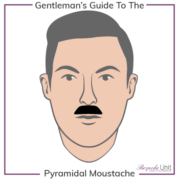 What Is a Pyramidal Pyramid Moustache Family