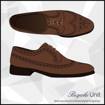 Top And Side View Of Brown Longwing