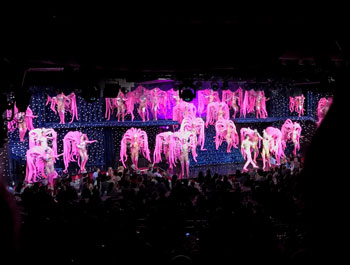 bespoke unit moulin rouge feerie revue finale