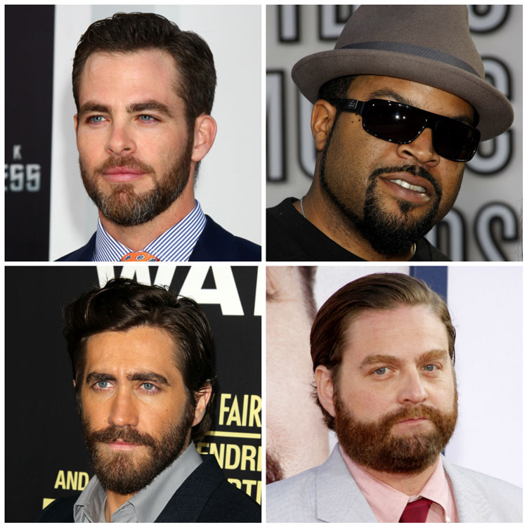 Celebrity Boxed Beards Ice Cube Gyllenhaal Galifianakis Chris Pine