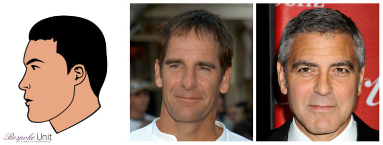 Celebrity Caesar Hairstyle Ideas Scott Bakula George Clooney