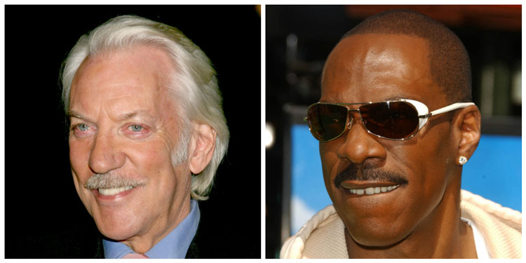 Celebrity Pyramid Lampshade Moustache Ideas Donald Sutherland Eddie Murphy