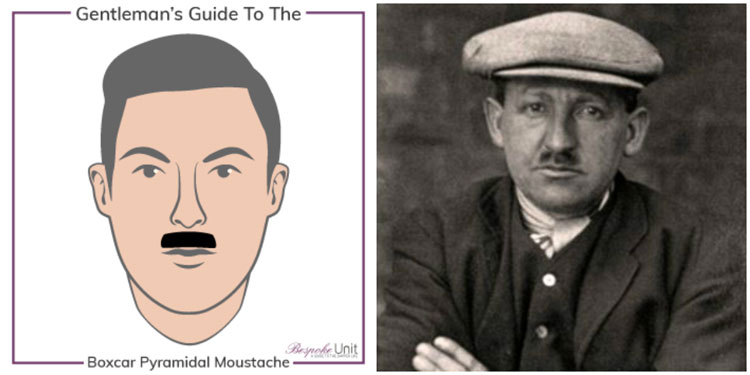 Graphic & Example of Boxcar Pyramidal Family Moustache Type