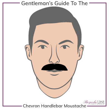 Graphic of Chevron Handlebar Family Moustache Type