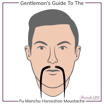Graphic of Fu Manchu Horseshoe Family Moustache Type