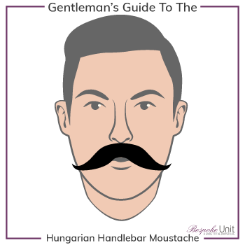 Graphic of Hungarian Handlebar Family Moustache Type