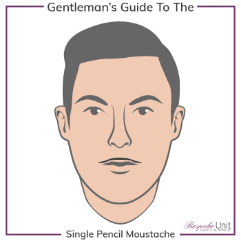Graphic of Single Pencil Family Moustache Type