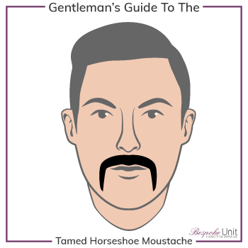 Graphic of Tamed Horseshoe Family Moustache Type