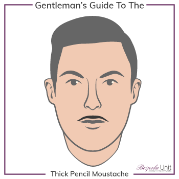 Graphic of Thick Pencil Family Moustache Type