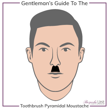 Graphic of Toothbrush Pyramidal Family Moustache Type