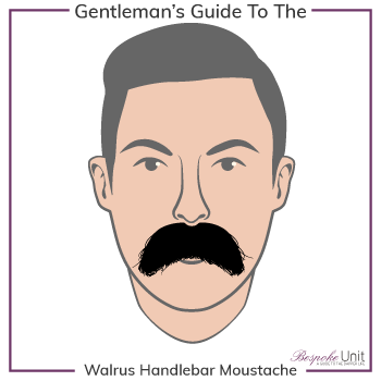 Graphic of Walrus Handlebar Family Moustache Type