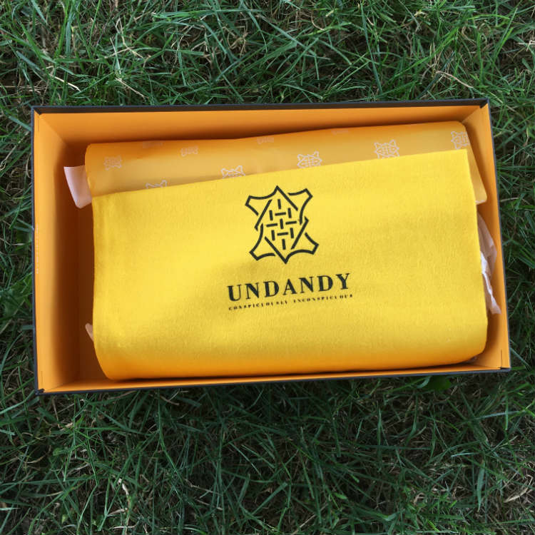 Inside Of Undandy Shoe Box