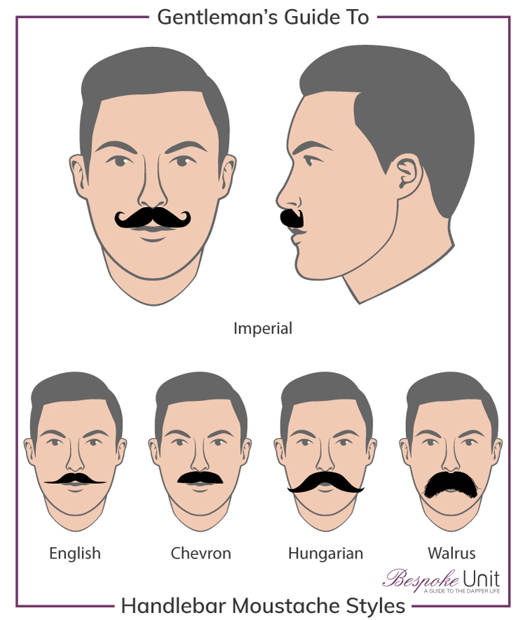 What Are The Different Handlebar Moustache Family Styles