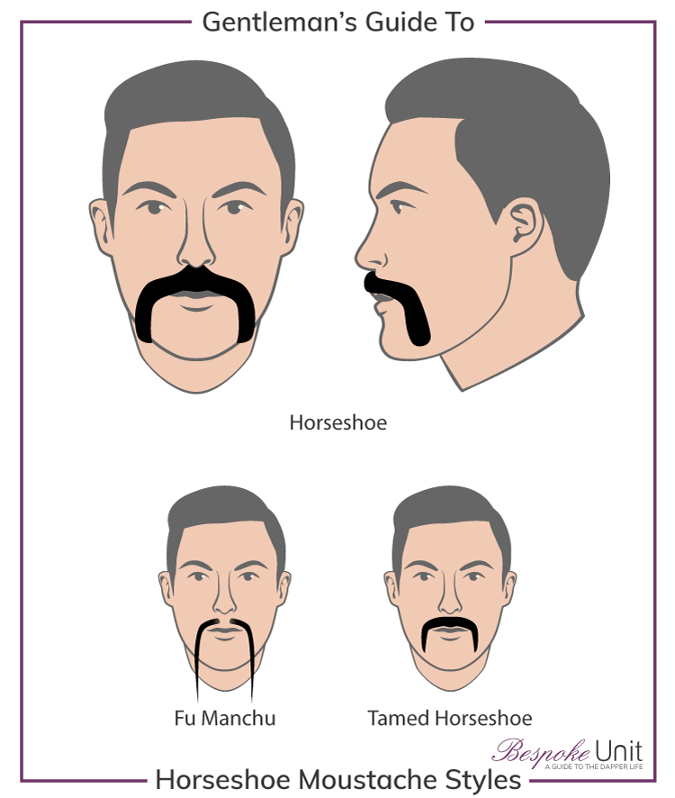 What Are The Different Horsehoe Moustache Family Styles