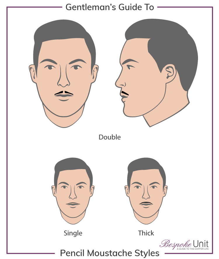 What Are The Different Pencil Thin Moustache Family Styles
