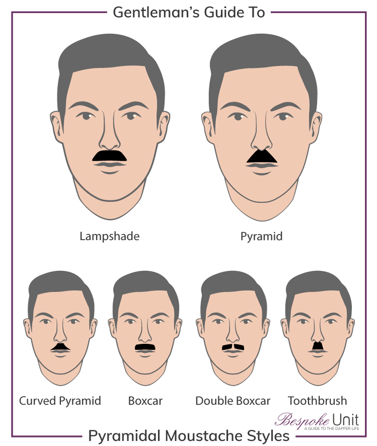 What Are The Different Pyramidal Moustache Family Styles
