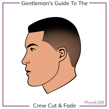 What Is A Fade Crew Cut Hairstyle Graphic