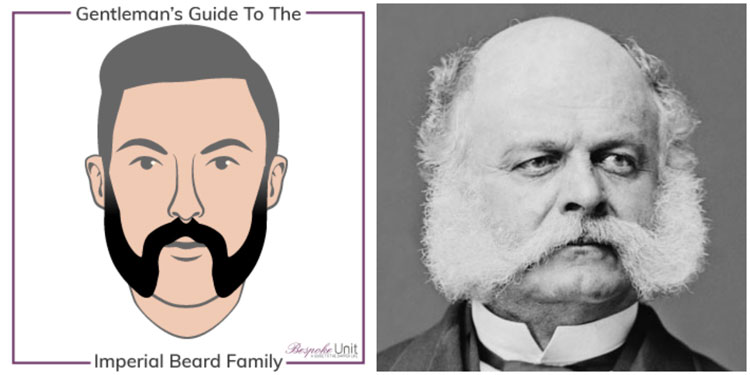 What Is An Imperial Beard or Friendly Mutton Chops Ambrose Burnside