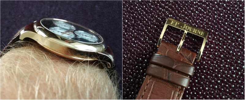 Flank and Buckle details of Centigraphe