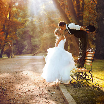 Newlyweds-Kissing-On-Park-Bench